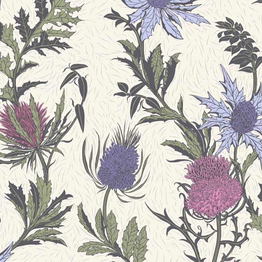 Cole And Son Botanical Thistle 115 14044 Wallpaper 4.9 6000x4000 1905 flower, purple. cole and son botanical thistle 115 14044 wallpaper
