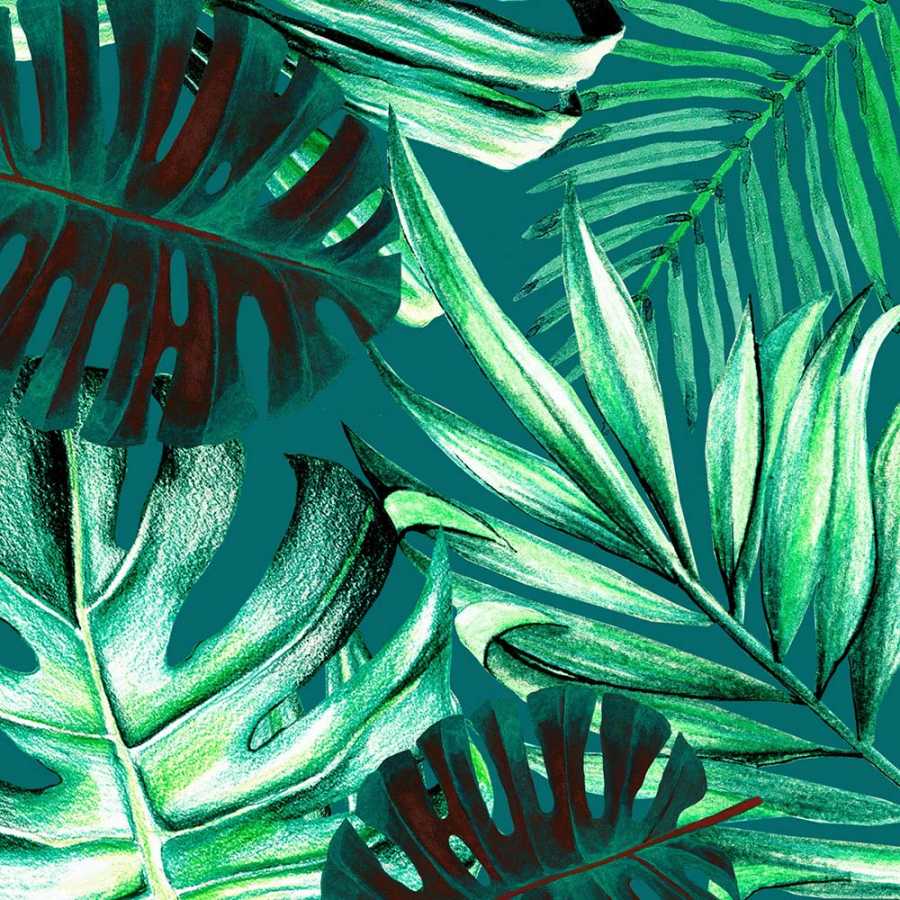 Mindthegap Rainforest Wallpaper